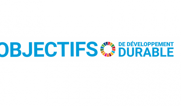 17 Objectifs de développement durable (c) ONU