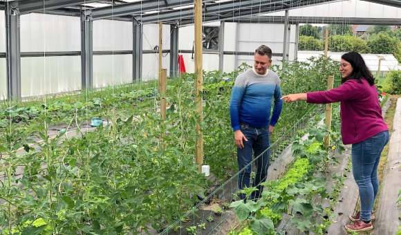 Pr Haissam Jijakli et Mme Camille Herben dans l’une des serres expérimentales à Gembloux Agro-Bio Tech (ULiège) © Christian Du Brulle