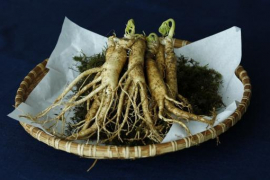 racines de ginseng